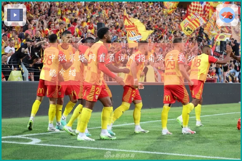 中欧买球网首页访问指南及主要功能介绍