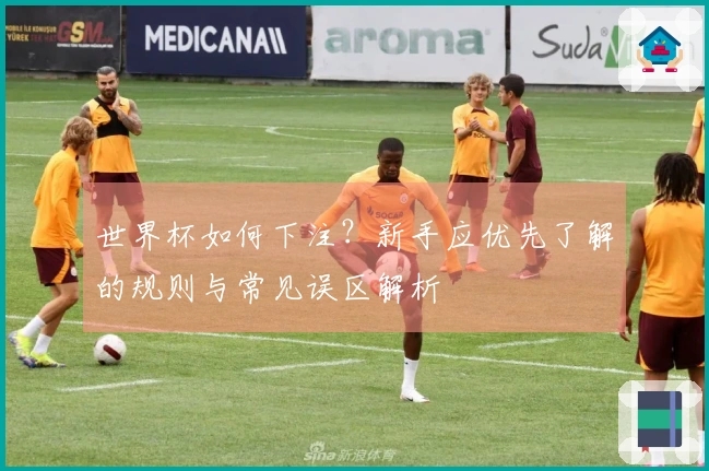 世界杯如何下注？新手应优先了解的规则与常见误区解析