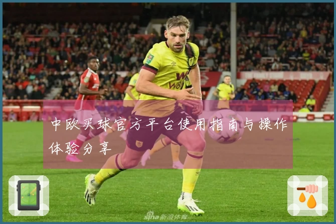 中欧买球官方平台使用指南与操作体验分享