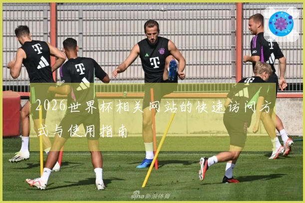 2026世界杯相关网站的快速访问方式与使用指南