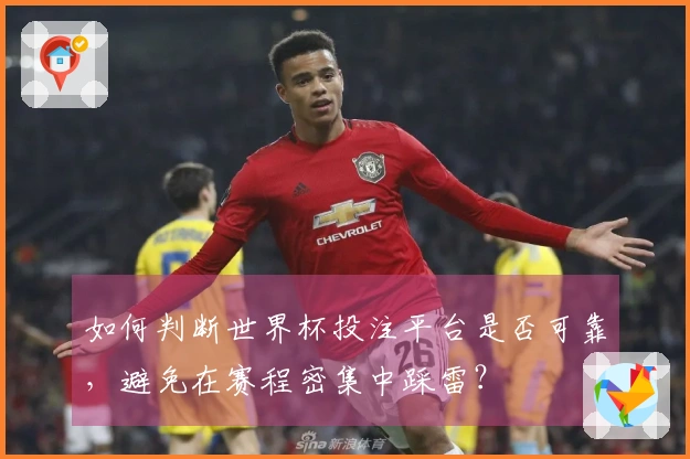 如何判断世界杯投注平台是否可靠，避免在赛程密集中踩雷？