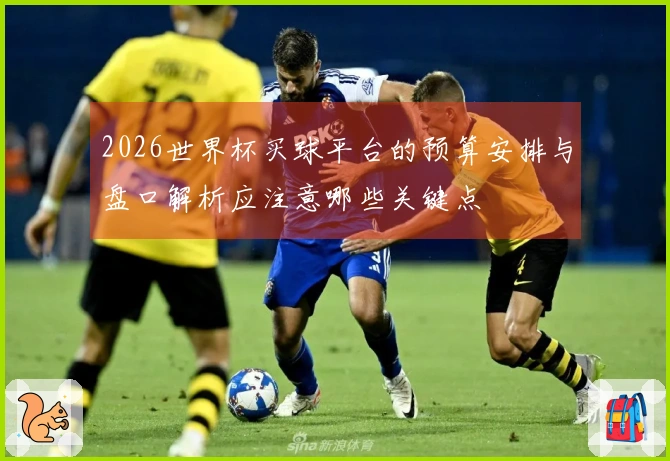 2026世界杯买球平台的预算安排与盘口解析应注意哪些关键点