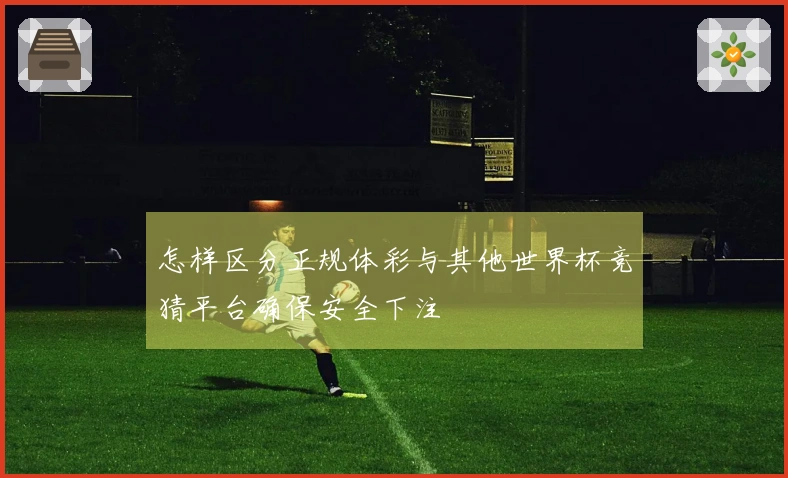 怎样区分正规体彩与其他世界杯竞猜平台确保安全下注