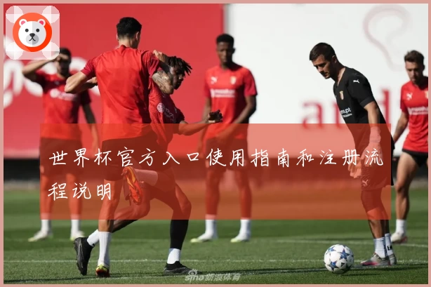 世界杯官方入口使用指南和注册流程说明