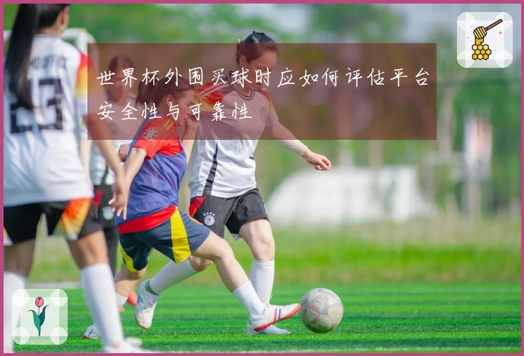 世界杯外围买球时应如何评估平台安全性与可靠性