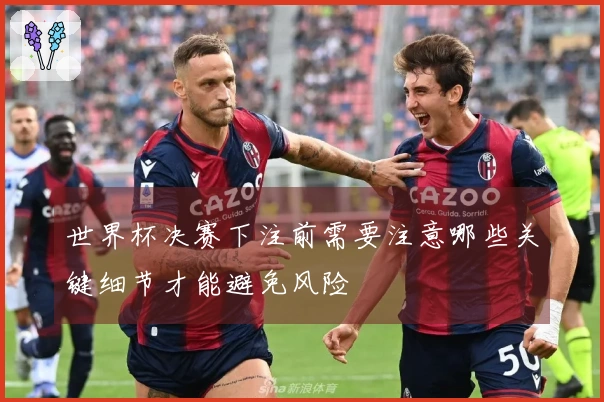 世界杯决赛下注前需要注意哪些关键细节才能避免风险