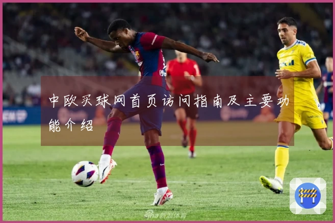 中欧买球网首页访问指南及主要功能介绍